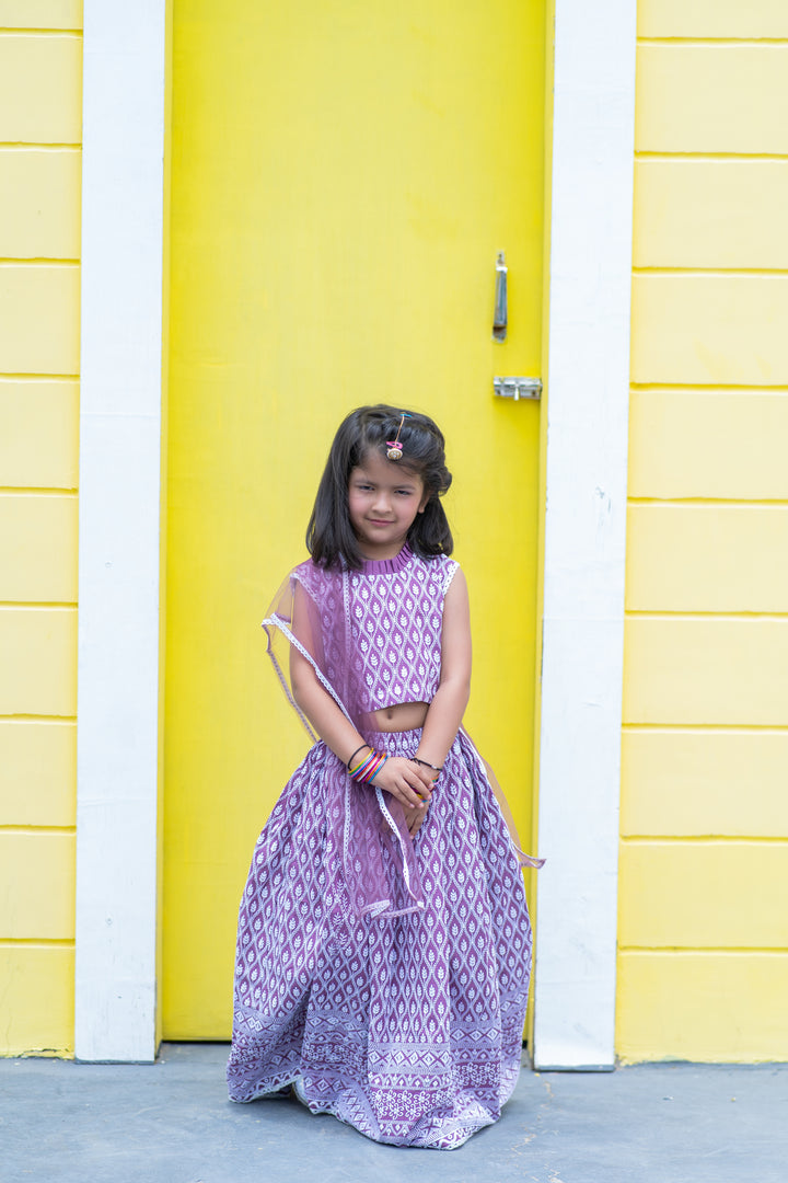 Lavender Chikankari Lehenga