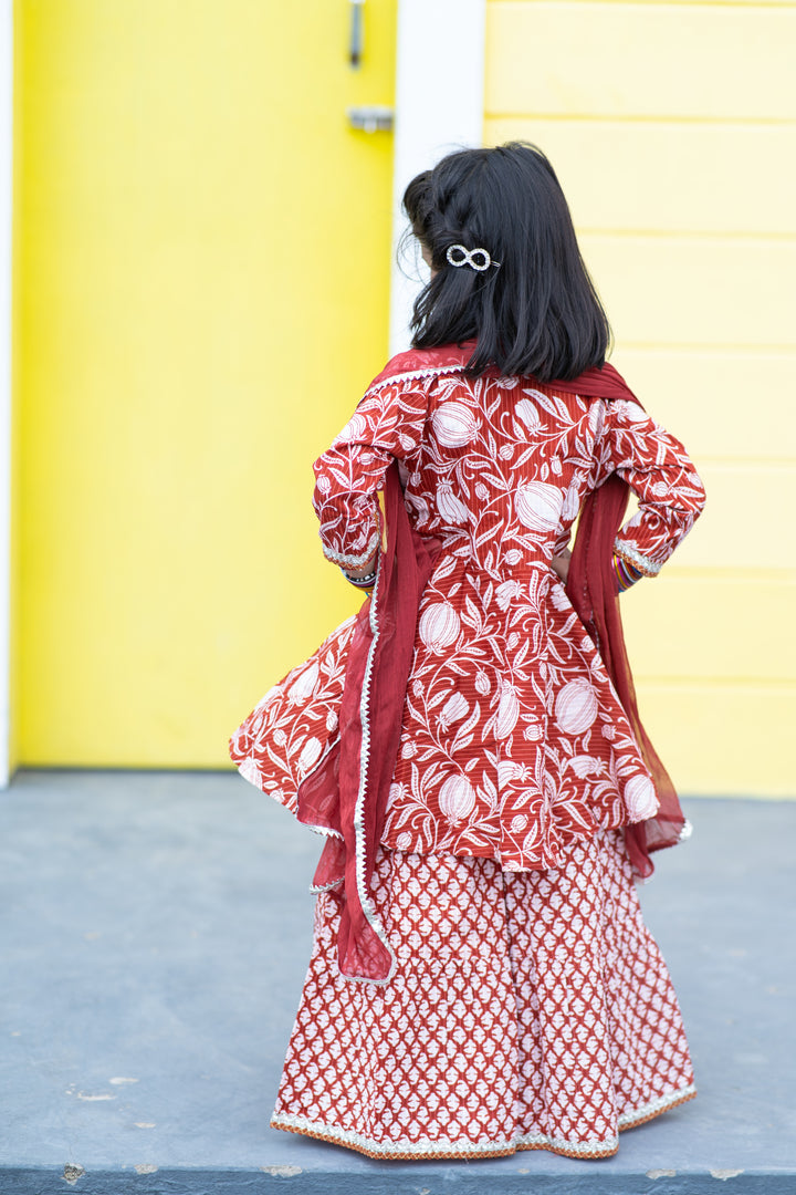 Maroon Botanical Print Kurta Set